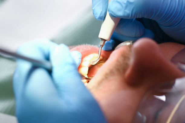 Best Pediatric Emergency Dentist in Lewistown, MT